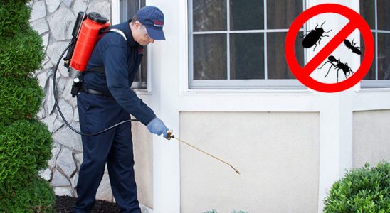 Bozcaada Kene İlaçlama böcek ilaçlama ve haşere kontrolü — ilaclama-tr.com